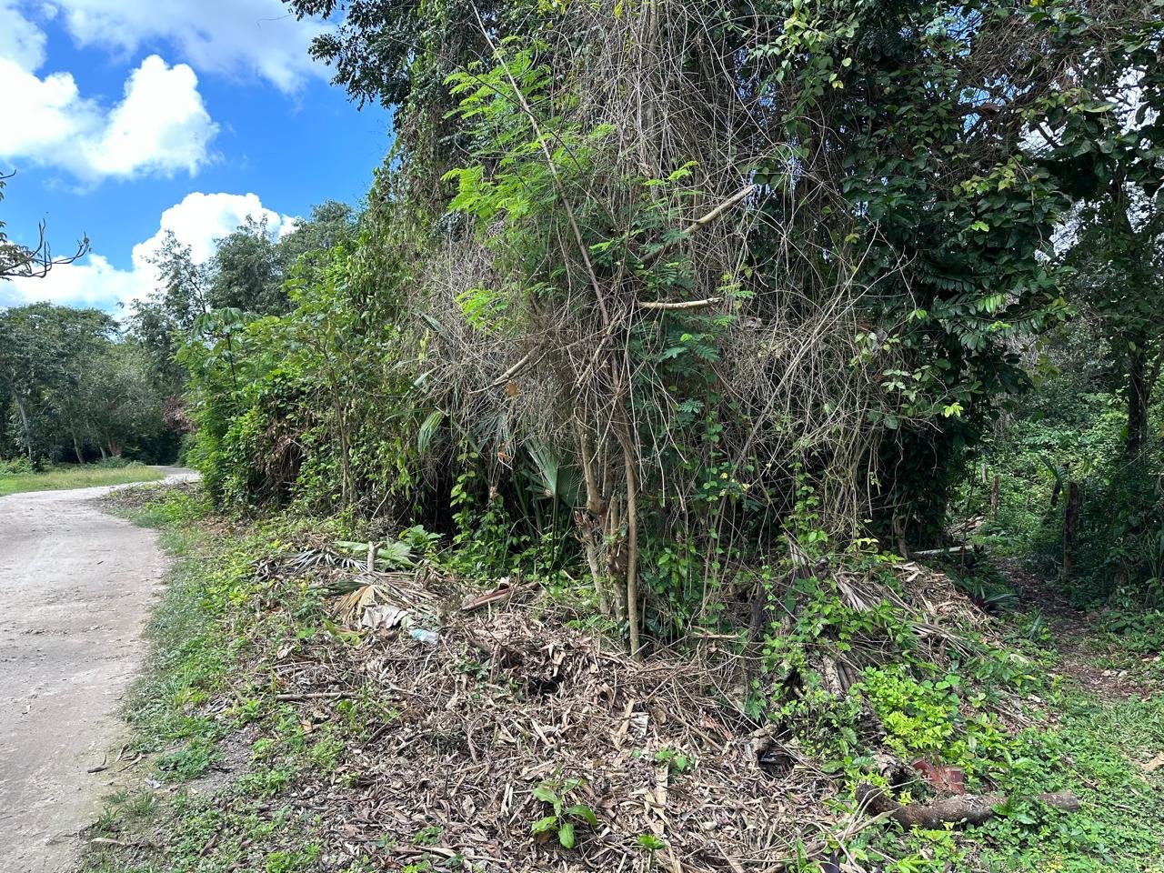 GRAN OPORTUNIDAD – TERRENO EN VENTA CON ACCESO DE LA CARRETERA FEDERAL AL BLVD. AARÓN MERINO, BACALAR, Q. ROO