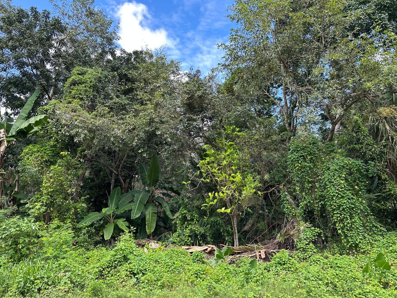 EN VENTA – LOTE 4 SOBRE BOULEVARD AARÓN MERINO, BACALAR, Q. ROO